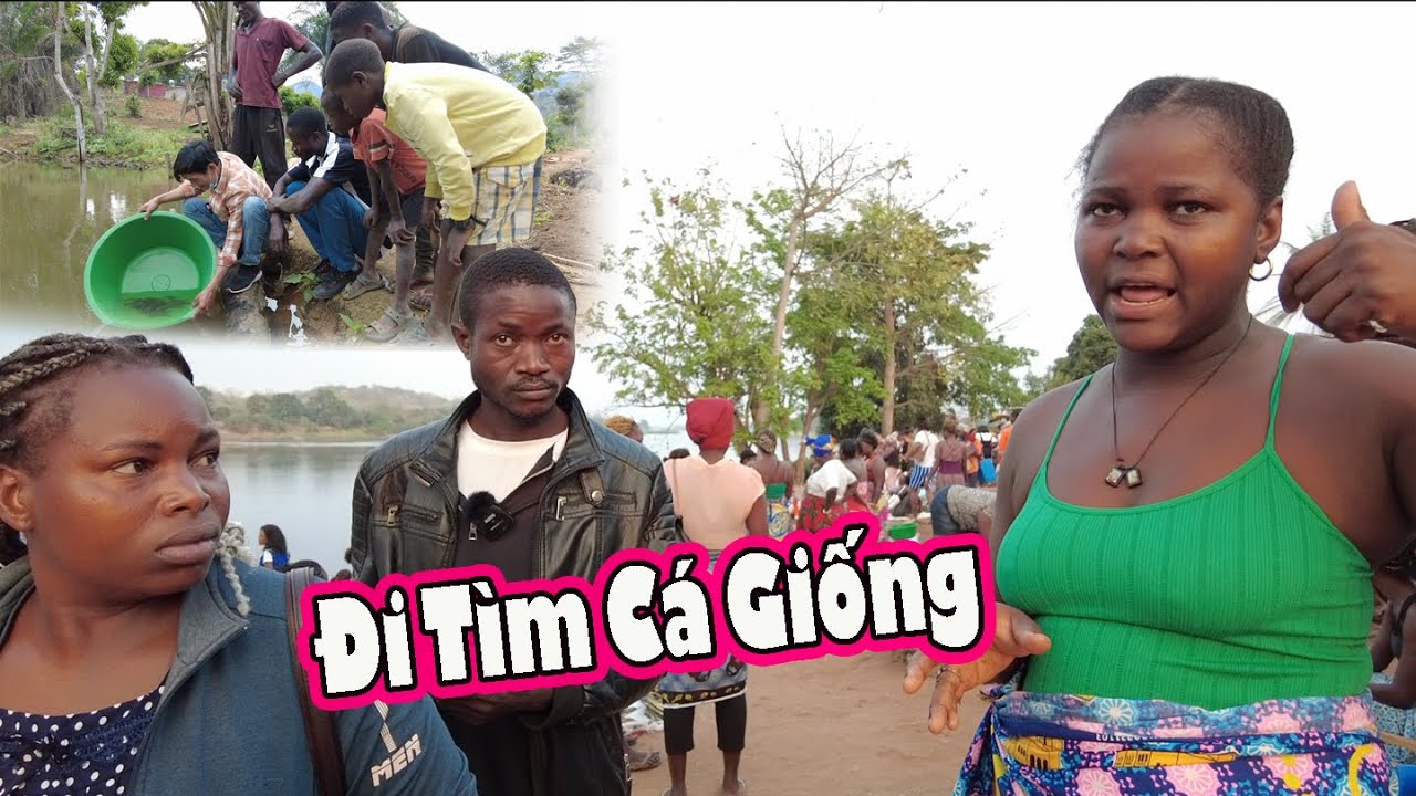 Đưa Gia đình Châu Phi đi chợ Mua Cá|| 2Q Vlogs Cuộc SỐng Châu Phi