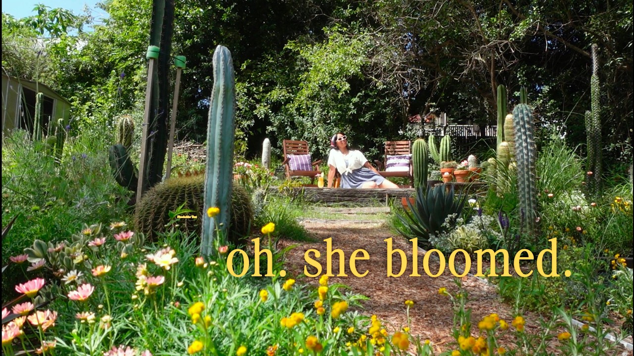 The Summer My Garden Turned Pretty