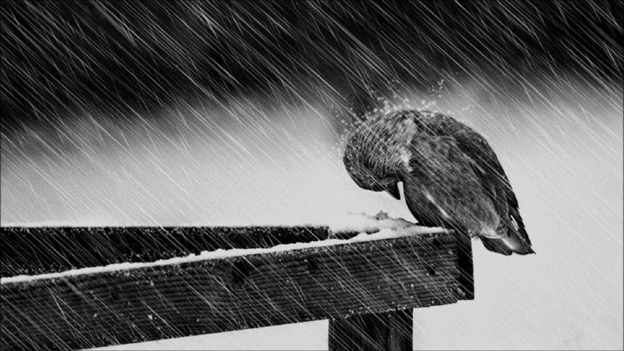 ''Sadness'' Sad Piano Boom Bap 90s Hip Hop Instrumental - Prod. Nxnja