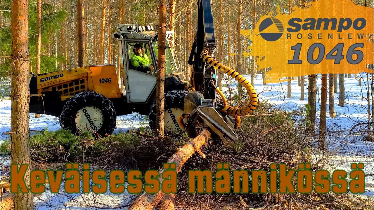 Sampo-Rosenlew 1046 keväisessä männikössä.☀️