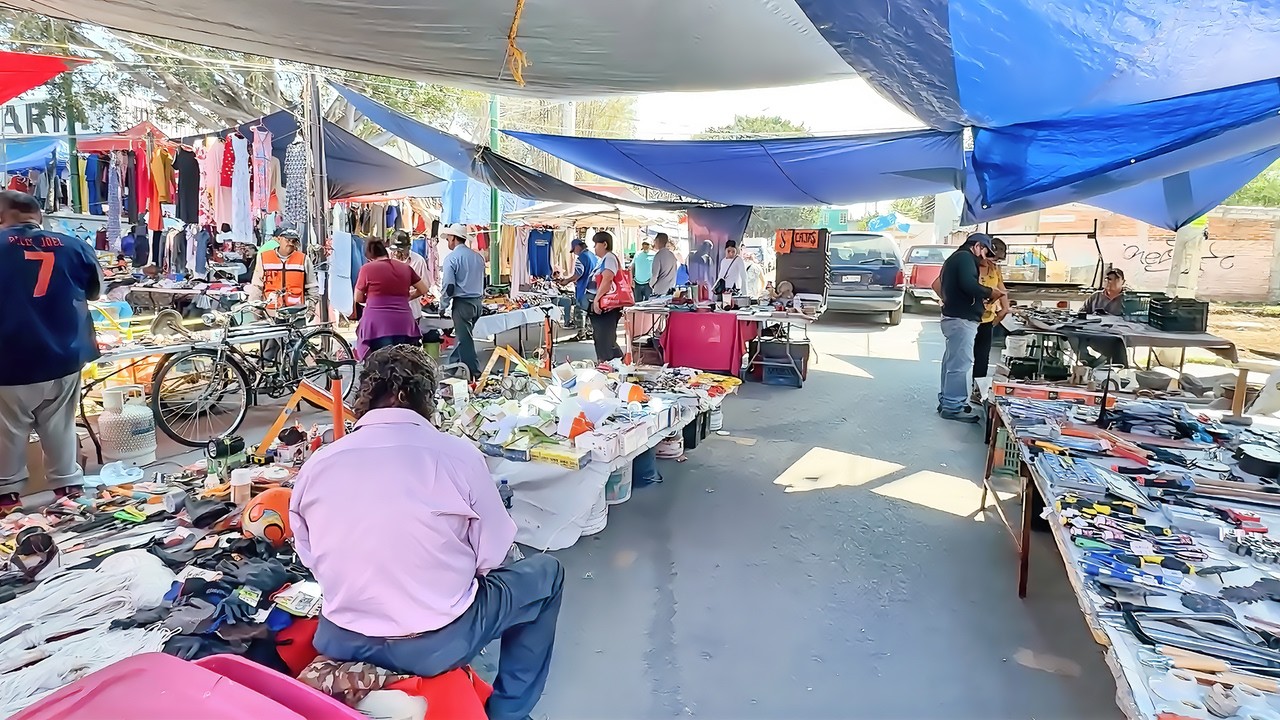¡TREMENDO TIANGUIS! Me Topé con Cosas Increíbles ¡No Lo Vas a Creer!
