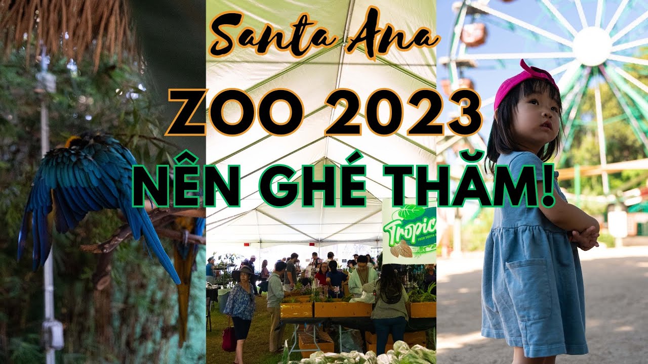 Santa Ana Zoo Tour & Review 2023 | The Orchid Show