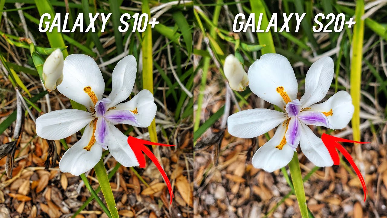 Сравнительный тест камер Samsung Galaxy S20+ и S10+: обновление?