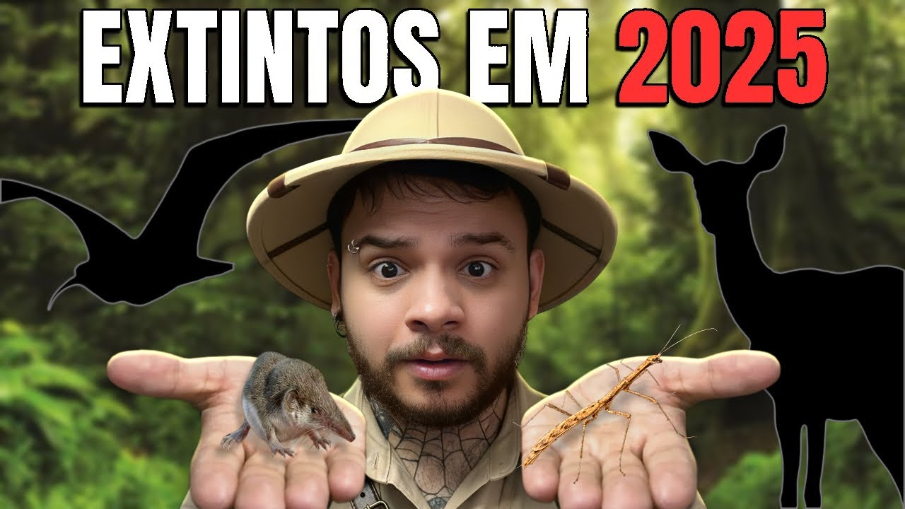 Animais EXTINTOS em 2025 (nenhum é o coala afs) - Milly Biologando