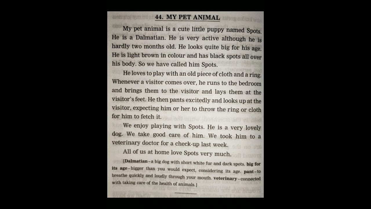 Essay On My Pet Animal | English Writing Skills | Let's Learn grammar