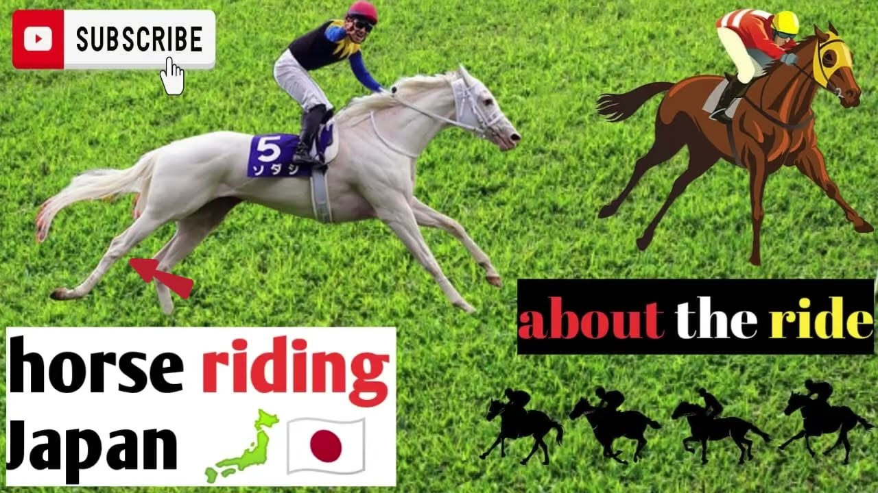 How to ride a horse in Japan || 日本での乗馬方法🐴🏇 जापान में घोड़े की सवारी कैसे करें? || #horse #horselove 