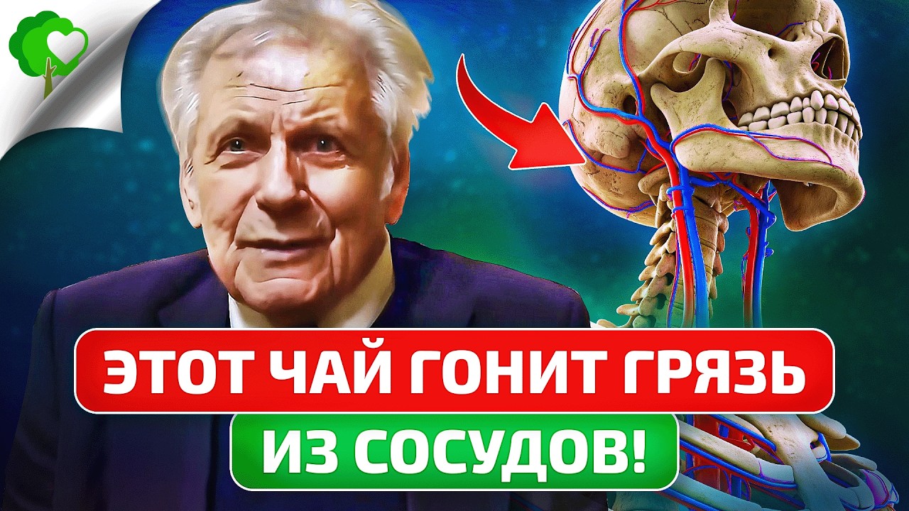 Неумывакин: Чистит сосуды, как щетка! Чистка сосудов