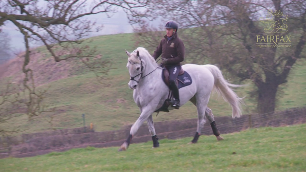 Andrew Hoy Masterclass in Minutes no 5 - working out of the arena