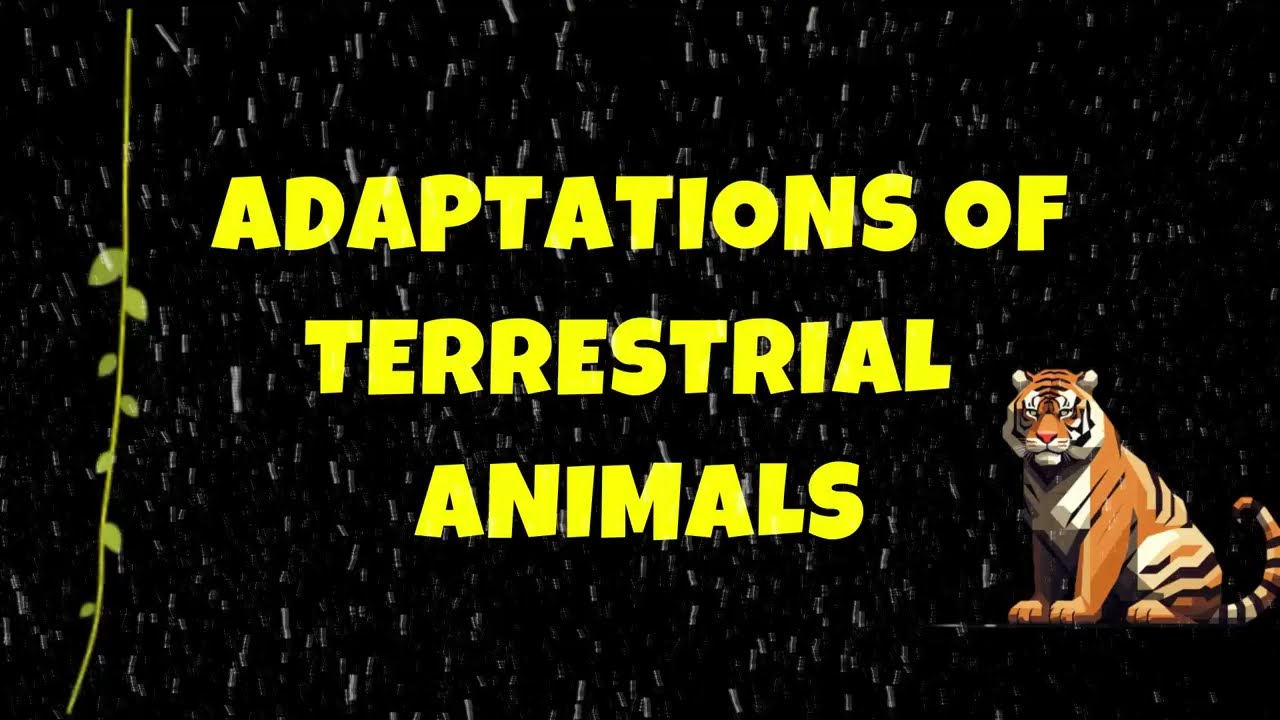 Adaptation of Terrestrial Animals | Terrestrial Animal Adaptations | Terrestrial Animals | #goalon