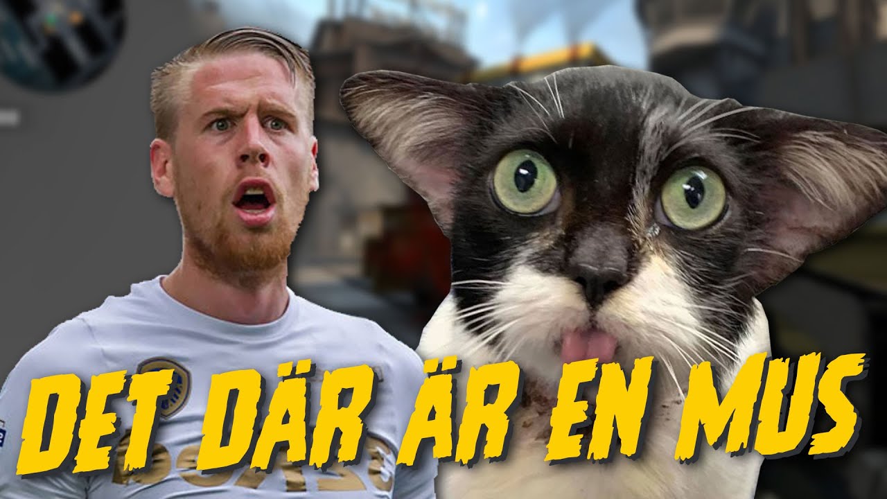 Katten Jansson har aldrig sett mus | CSGO med Pontus Jansson, mARLEY & Tylle [FUNNY MOMENTS]