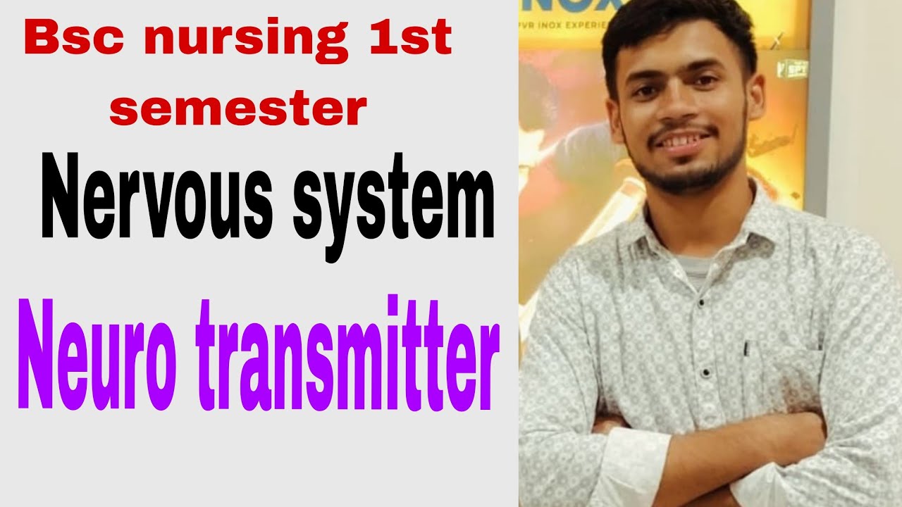 Neuro transmitter Nervous system