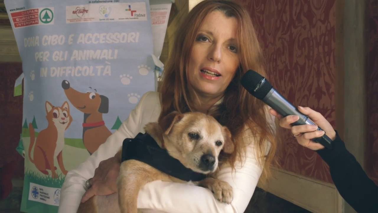 REGALA AFFETTO AL NONNETTO BINO. APPELLO ON. BRAMBILLA