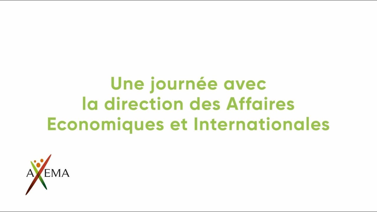 DIRECTION DES AFFAIRES ECONOMIQUES ET INTERNATIONALES