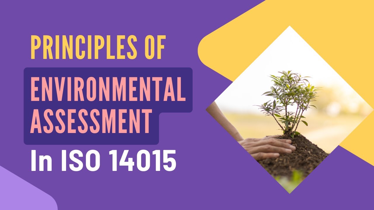 Principles of Environmental Assessment in ISO 14015