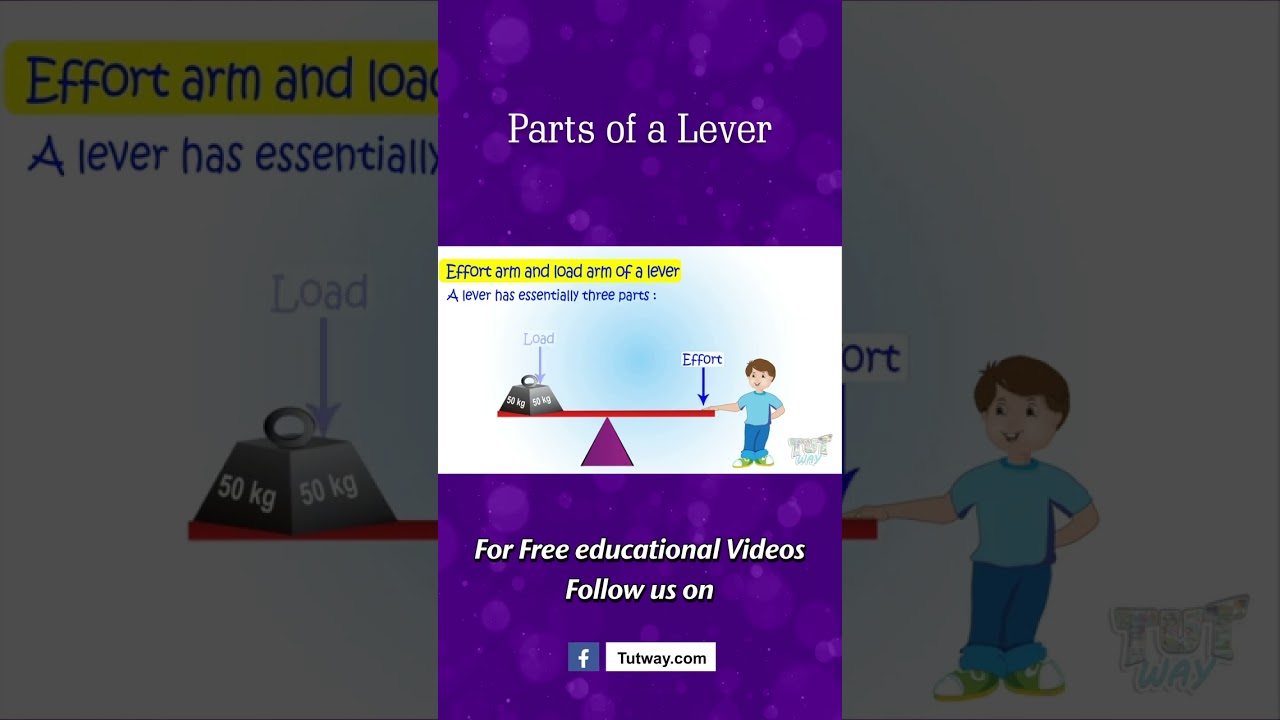 Lever | Types of Levers&nbsp;| Parts of Lever | Application of Levers | Simple Machine | Science #shorts