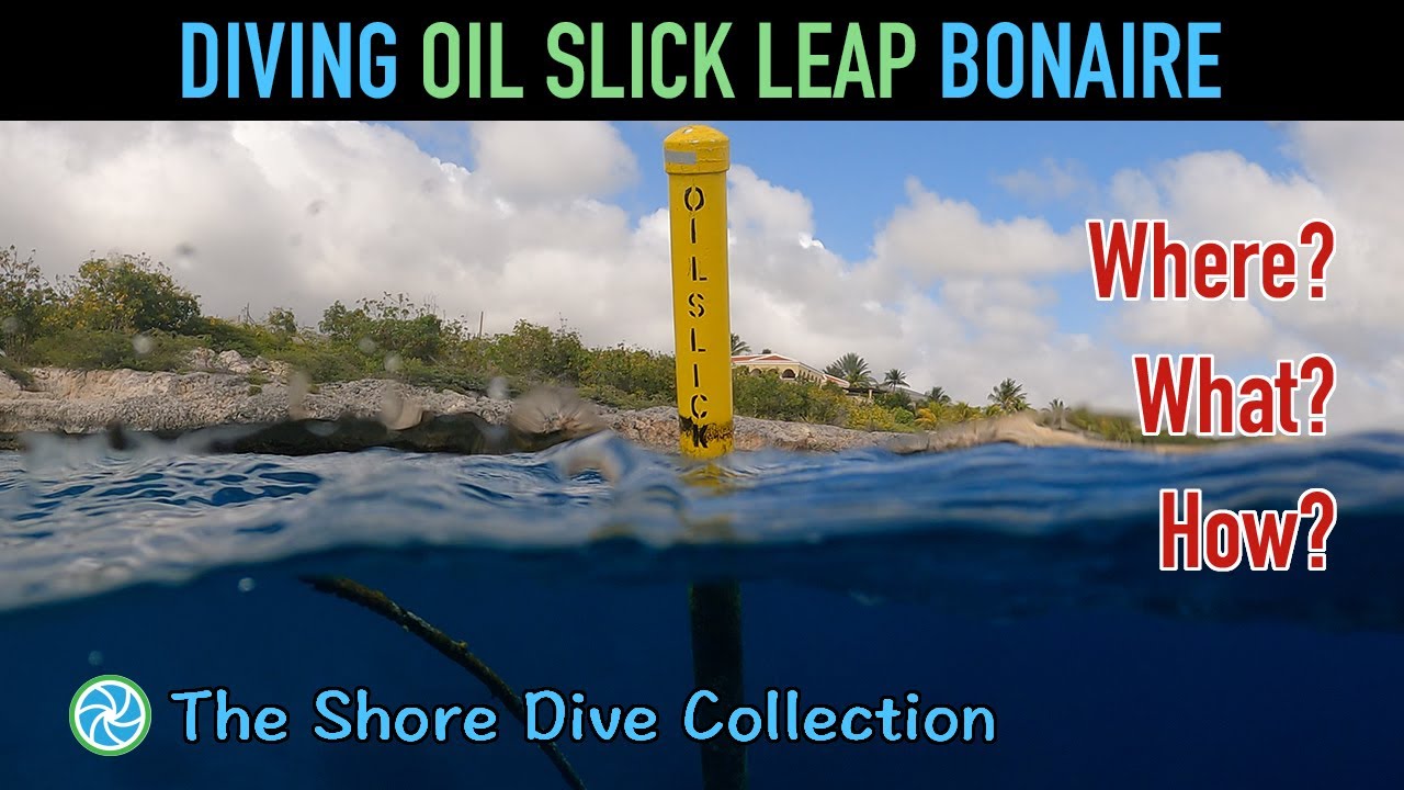 Diving Oil Slick Leap Bonaire | The Shore Dive Collection | TropicLens - 4K