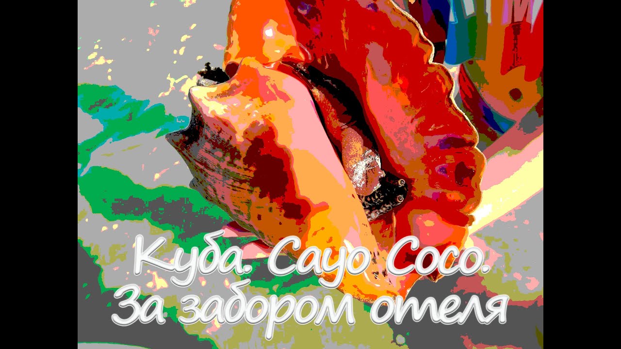 Куба. Cayo Coco. За забором отеля