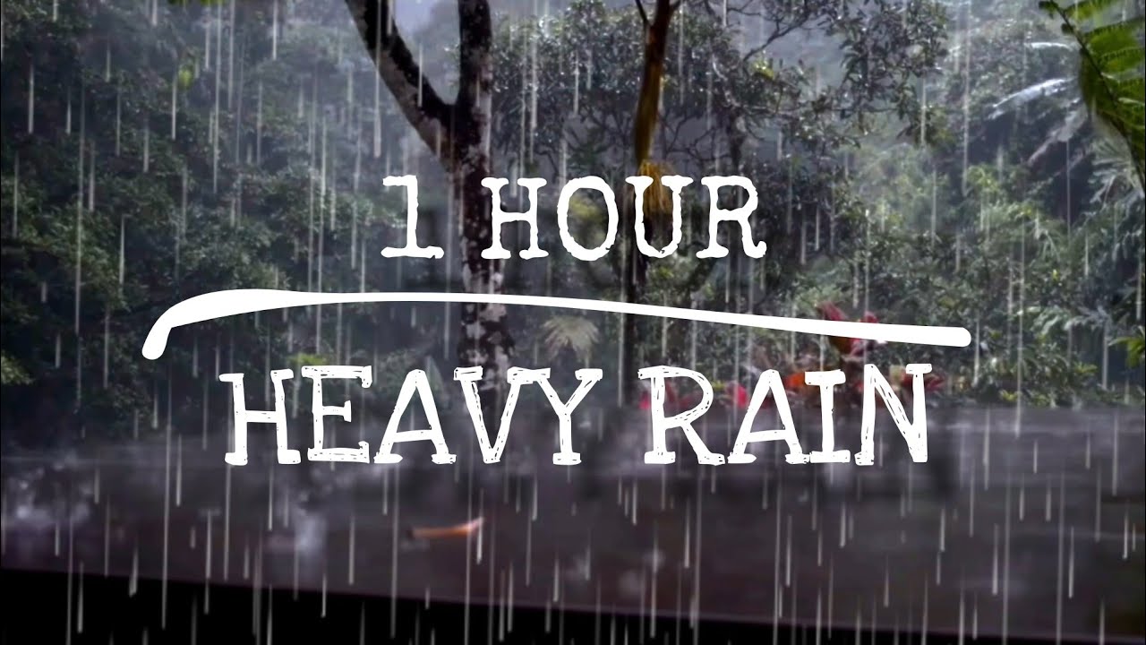 Heavy Rain 1 HOUR in the forest with tent - Rain sound for sleeping, meditation, relax - ASMR