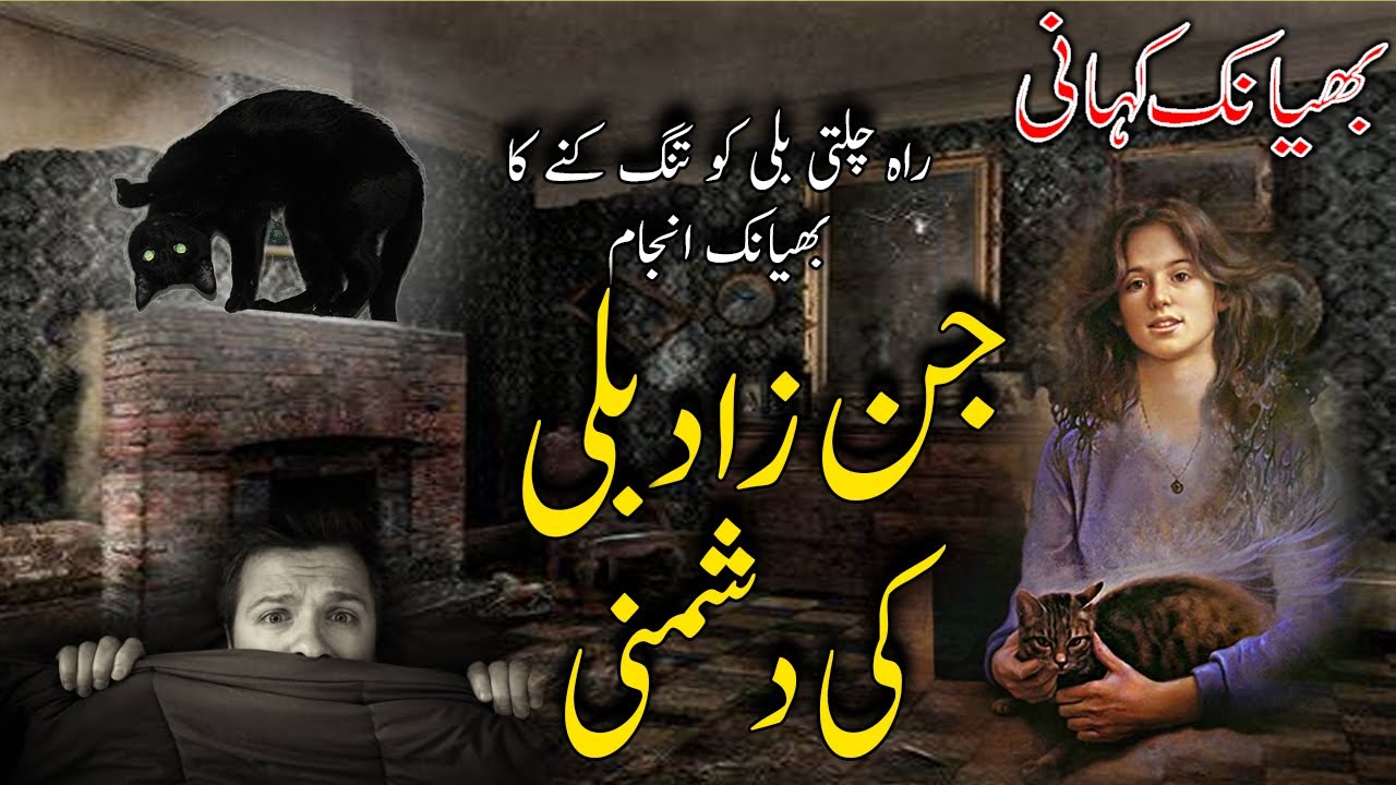 Possessed Cat || Jinzad Billi || URDU - HINDI Horror Story ||