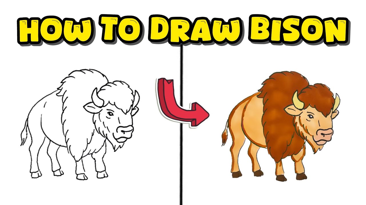 How to Draw a Bison Easily &ndash; Realistic Animal Drawing Process for All