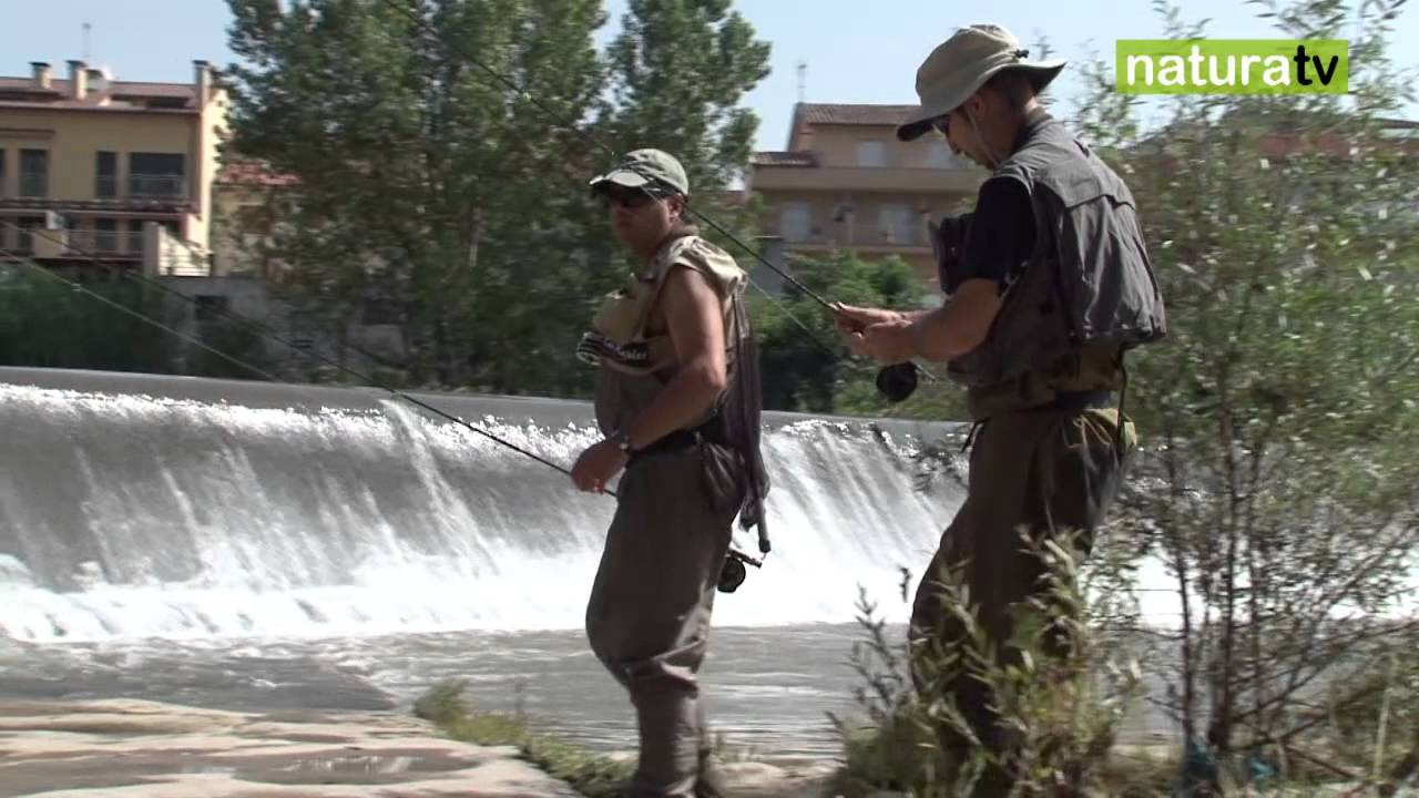NaturaTV Memorial Nitus_Roda de Ter