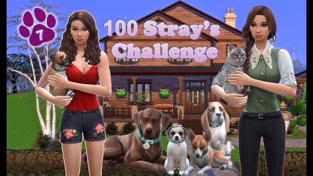 🐾 100 Stray's Challenge 🐾 | Ep. 7 | Sims 4