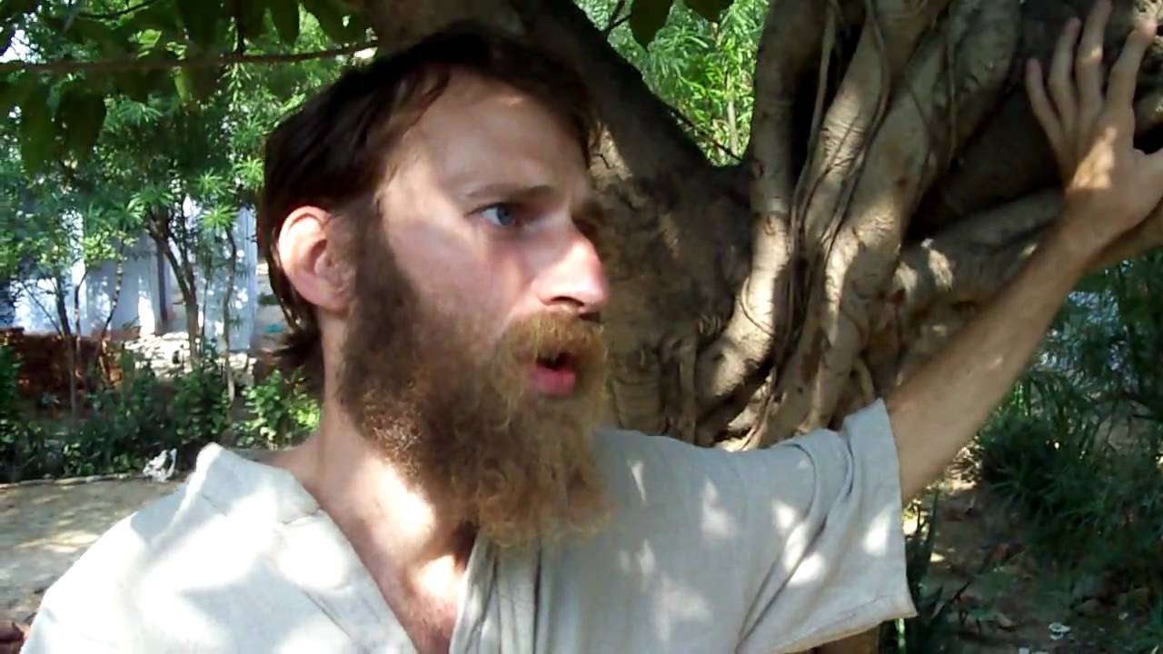 K&ouml;lcsey Ferenc - Huszt (hungarian poem)
