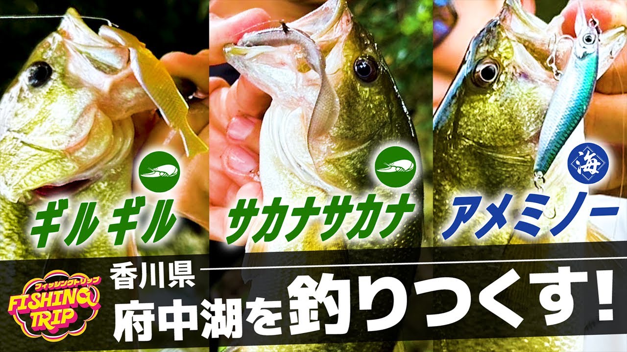 【バス釣り】あらゆるルアーで釣りつくす！爆釣エンジョイフィッシングin府中湖【フィッシングトリップ】