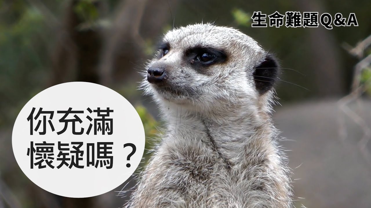 【生命難題】你充滿懷疑嗎？多疑是你的心病嗎？