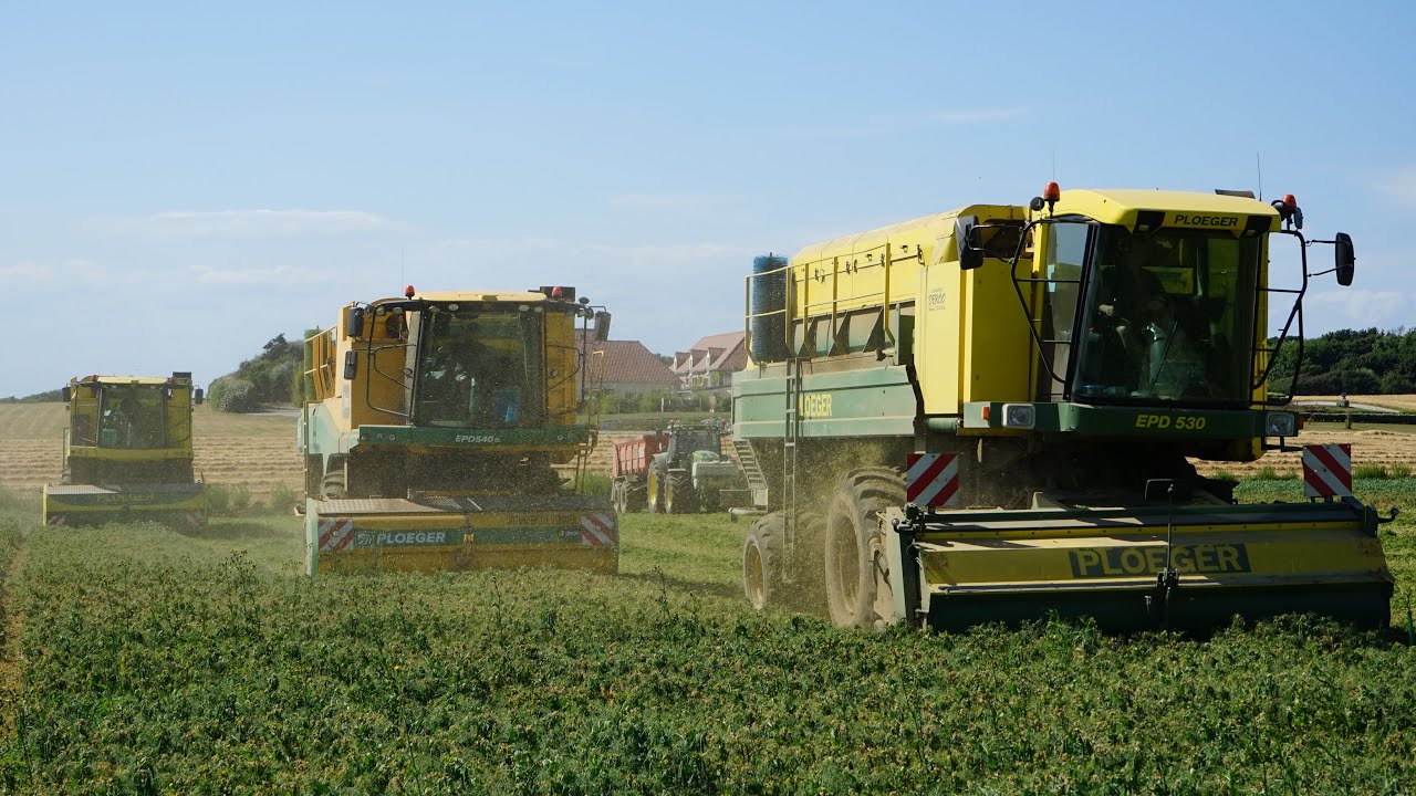 Harvesting peas 🇫🇷 | Loonwerken Deroo