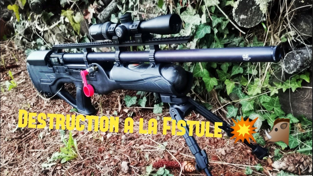 HATSAN HERCULES BULLY.45, On lui fait prendre l'air entre potes 💥🐗