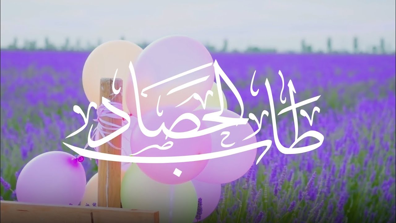 طاب الحصاد | أداء : ياسر العجيلي