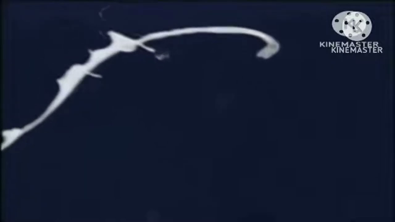 FremantleMedia/FremantleMedia Enterprises/FremantleMedia North America (2006) (Slow 4x)