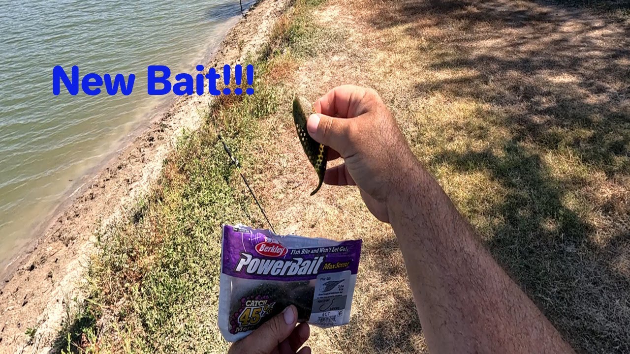 Berkley Powerbait MaxScent Flux Gill REVIEW!!! How Did It Go?