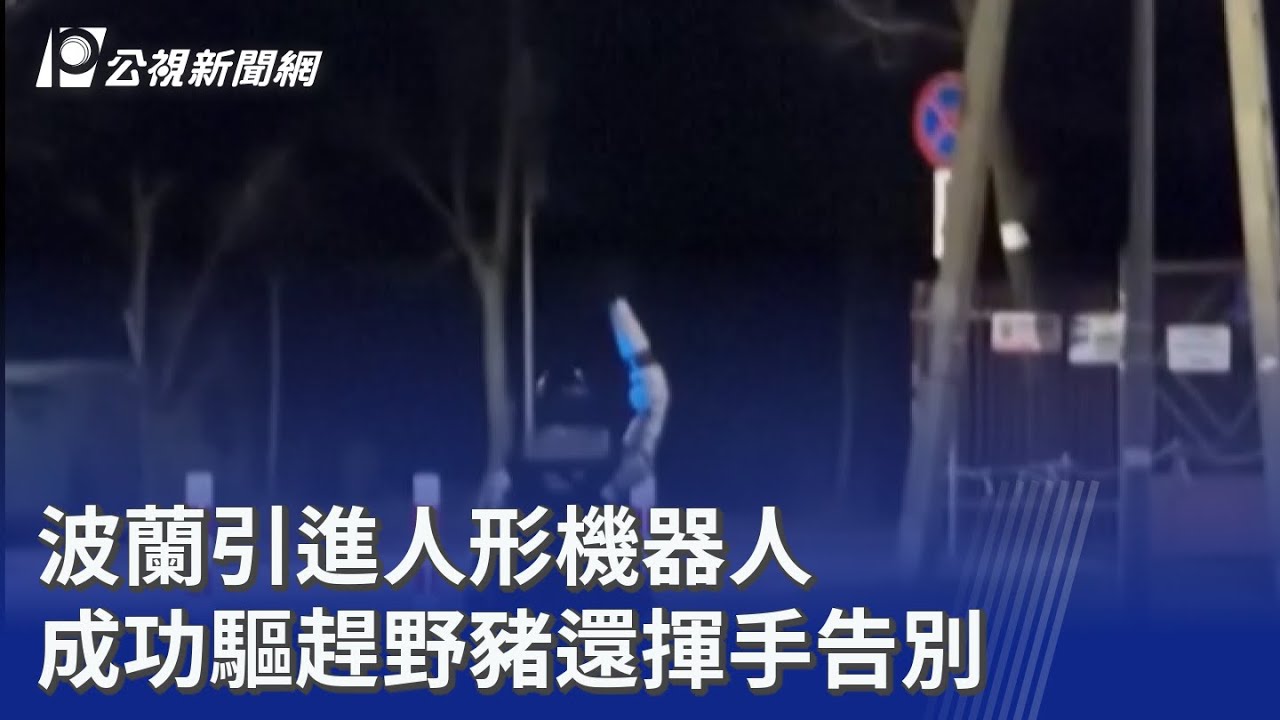 波蘭引進人形機器人 成功驅趕野豬還揮手告別｜20260415 8點新世界