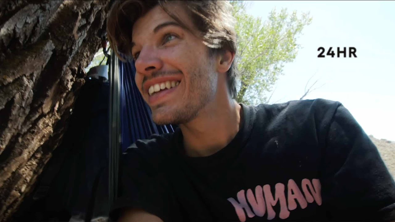 24 hours in a tree 
