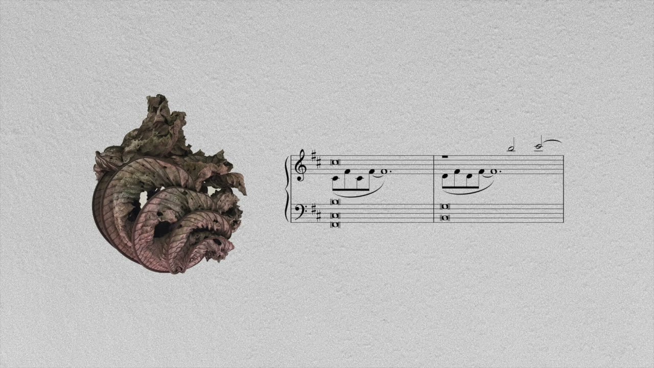 Yehezkel Raz - Oval Window