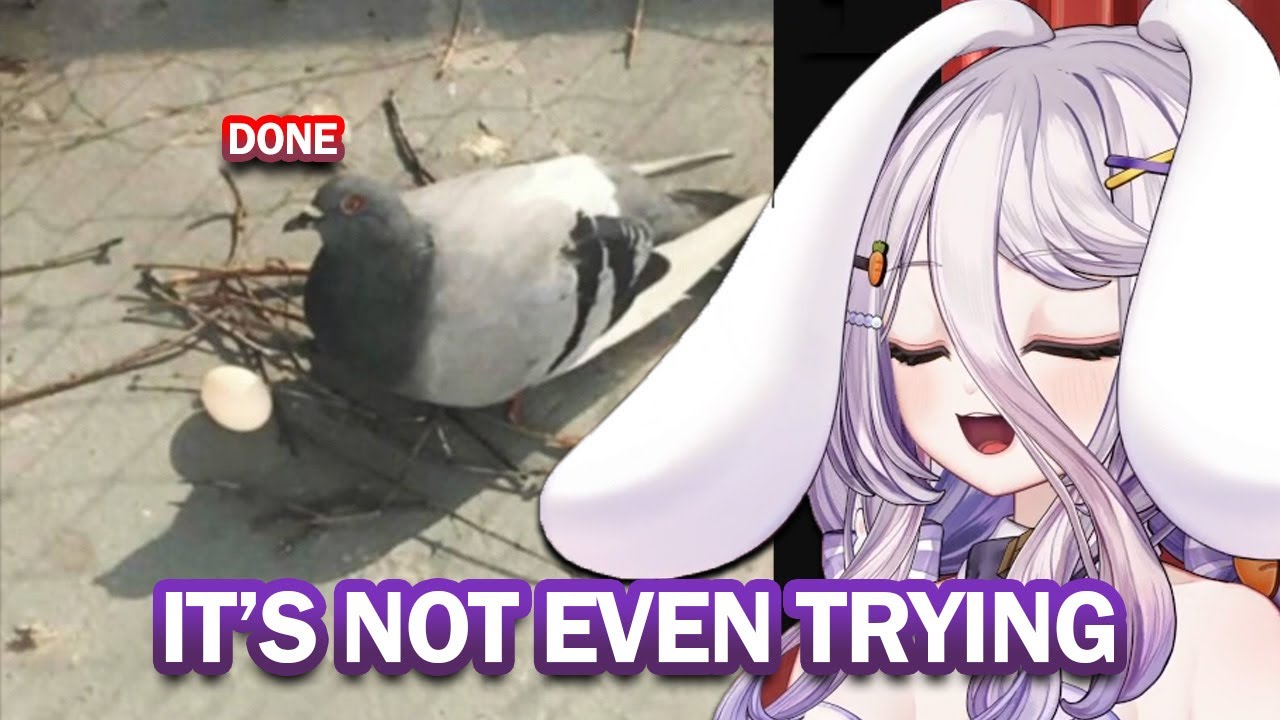 Henya still can't get over with Perfect Pigeon Nest | Henya Reacts to Funny Animals Video