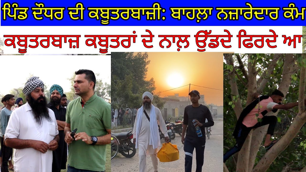 ਕਬੂਤਰਬਾਜ਼ ਕਬੂਤਰਾਂ ਦੇ ਨਾਲ਼ ਉੱਡਦੇ ਫਿਰਦੇ ਦੇਖੋ;ਪਿੰਡ ਦੌਧਰ ਦੀ ਬਾਜ਼ੀ|Harbhej Sidhu|Kabutar|Piegien|Daudhar|