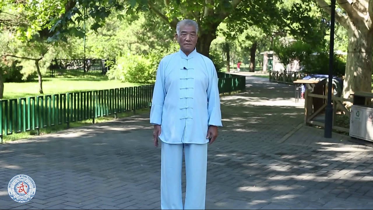 IWUF - Liu Jingru Competitive Bagua Zhang Routine Performance & Explanation