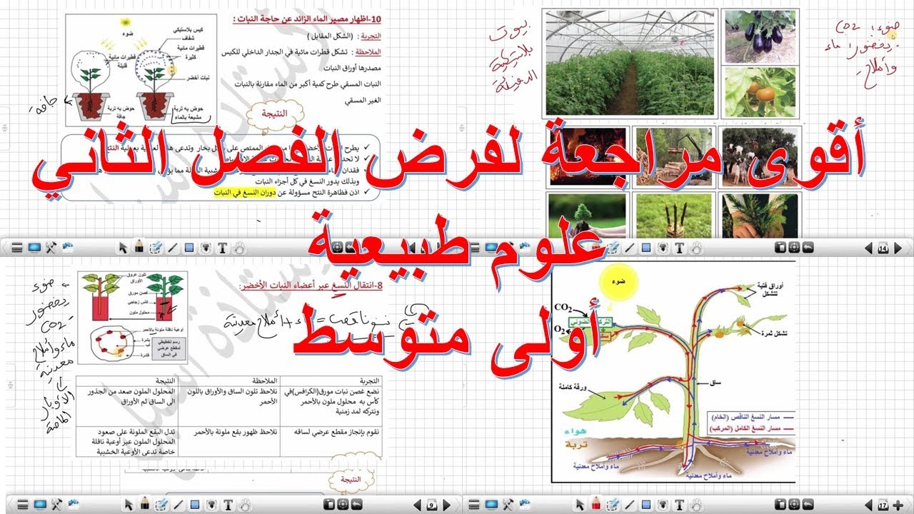 أقوى مراجعة لفرض الفصل الثاني  علوم طبيعية أولى متوسط ملخص  شامل للتغذية عند النبات الأخضر