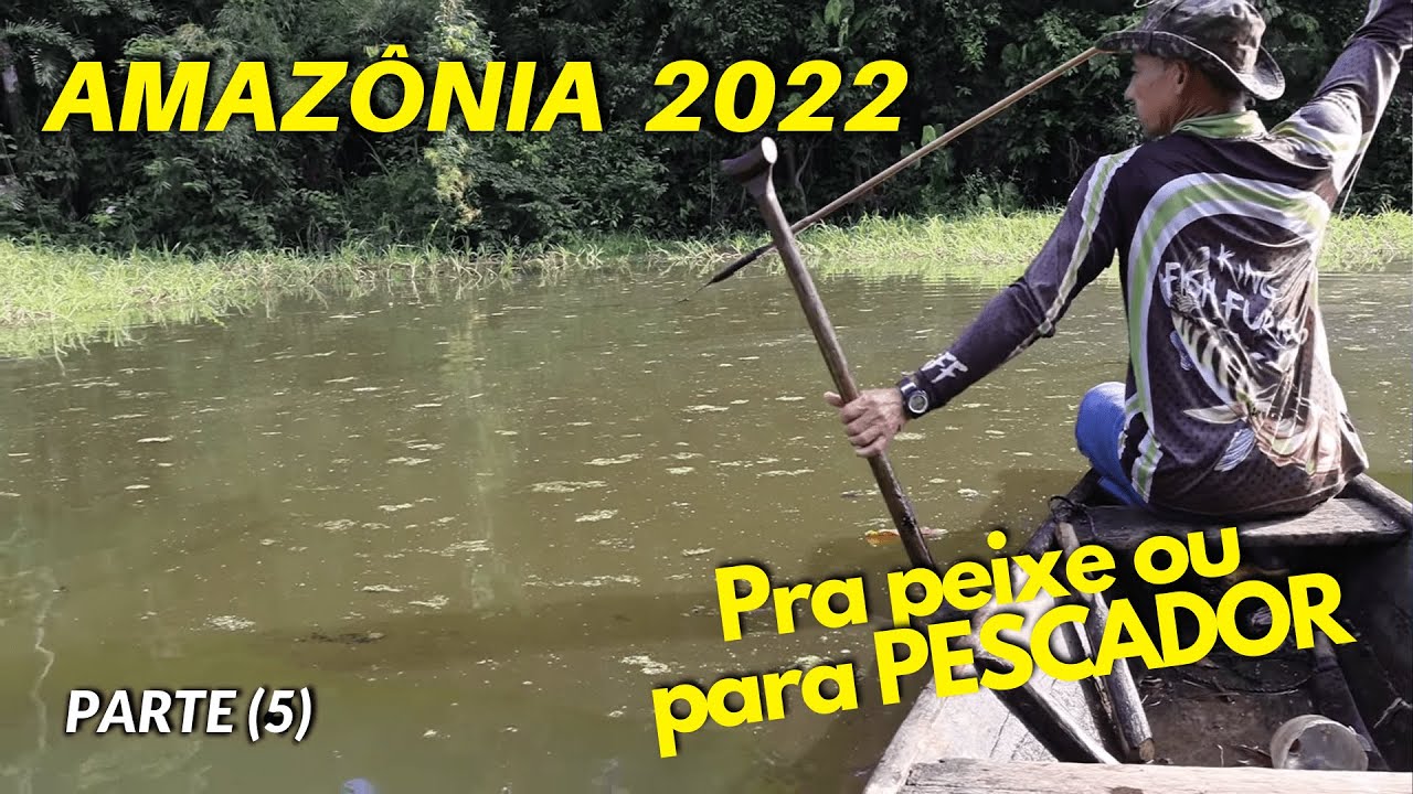 DE VOLTA À COMUNIDADE DA MANGUEIRA | T01 EP19
