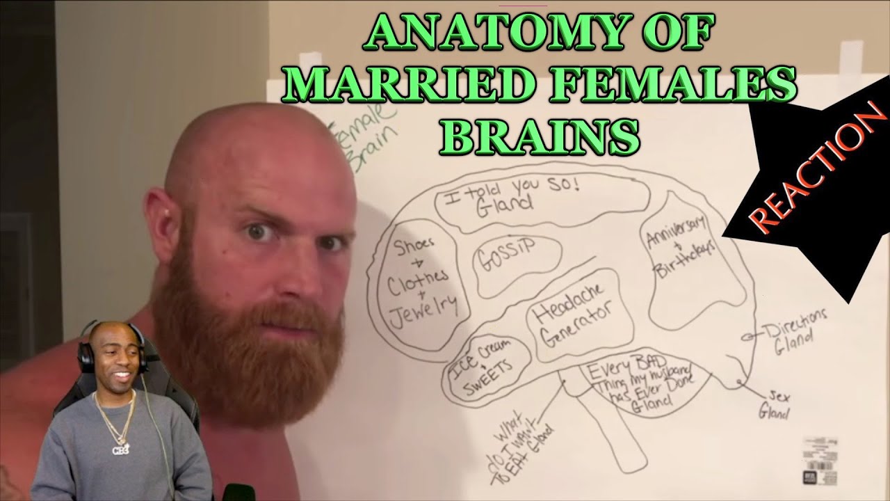 [GINGER BILLY] ANATOMY OF THE FEMALE BRAIN [REACTION]