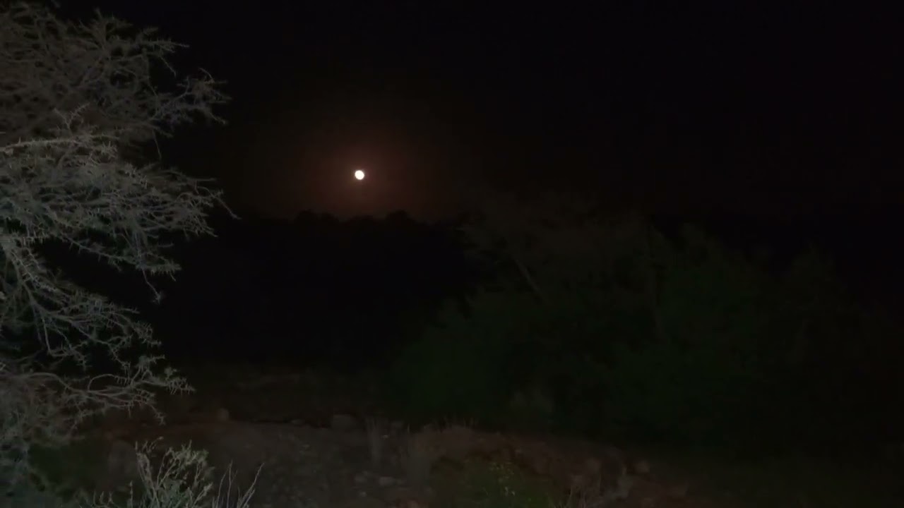 دخول غابة مهجورة ليلاً في أودية الجنوب