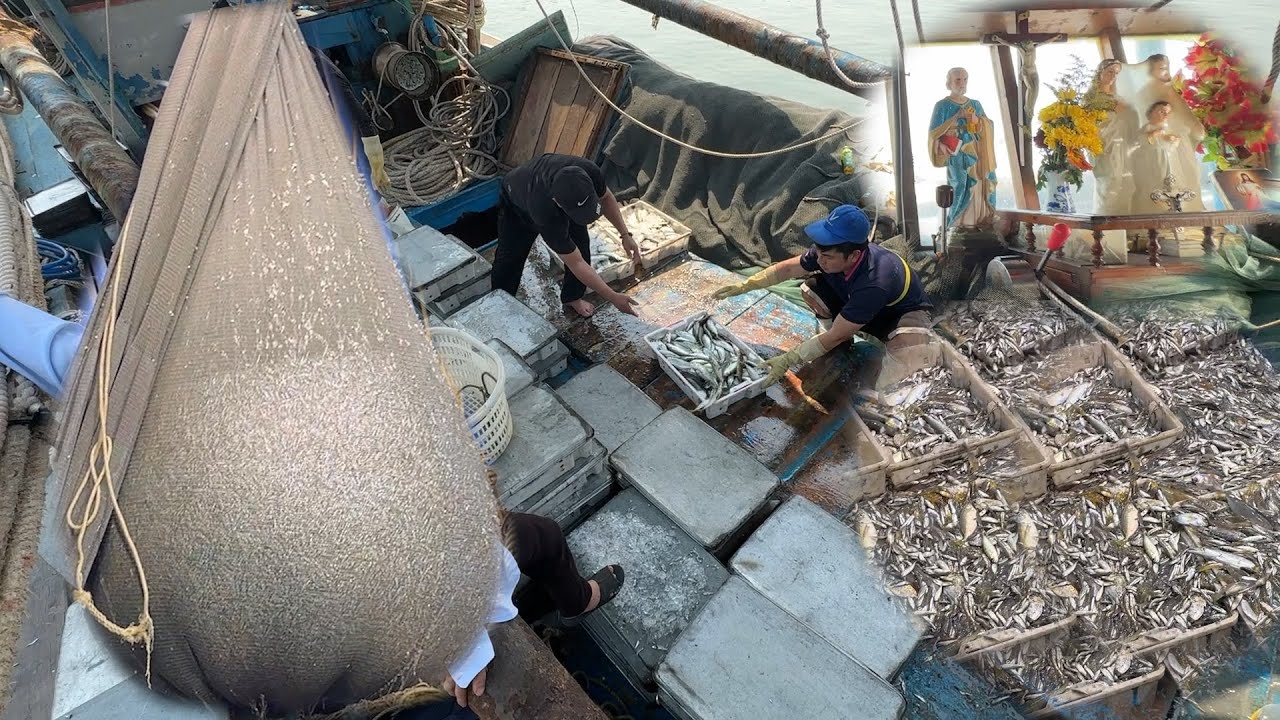 Mành chụp a khanh và những phát lưới đầy ấp cá về bờ bán - Dân Biển