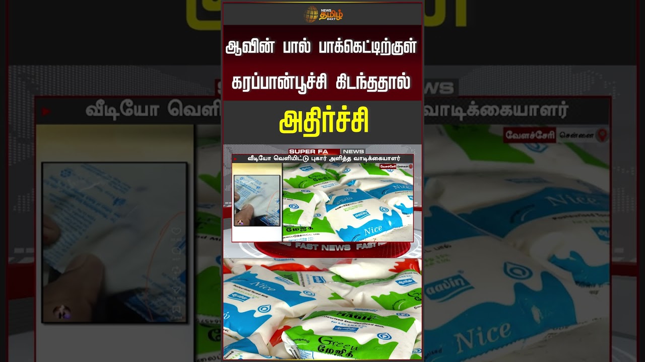 ஆவின் பால் பாக்கெட்டிற்குள் கரப்பான்பூச்சி கிடந்ததால் அதிர்ச்சி #chennai #velachery #velacherynews