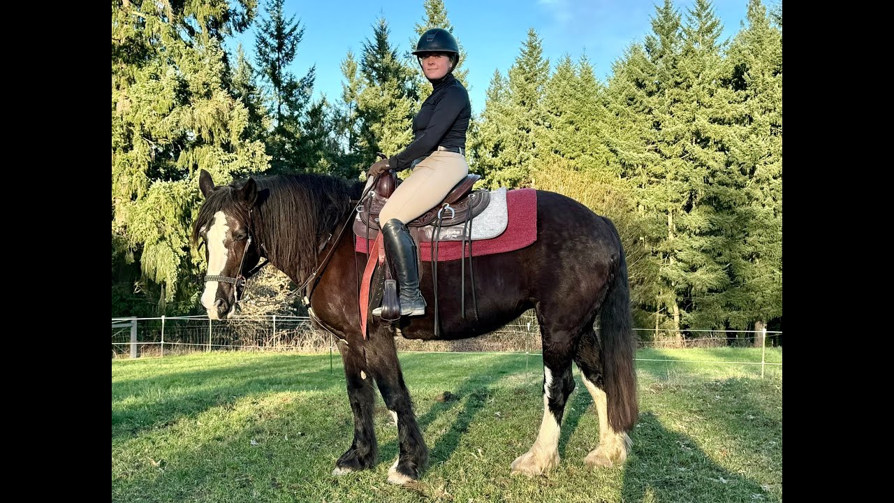 Black Pine's Bella