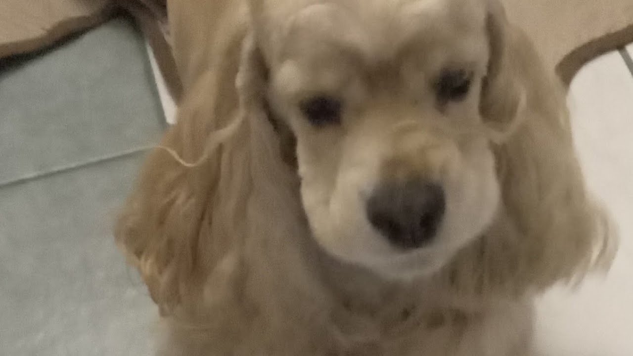 Marie Diesta is live! HAPPY FRIDAY EVERY1!