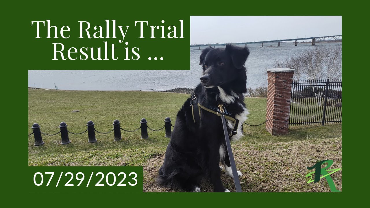 AKC Rally On A Rainy Day!