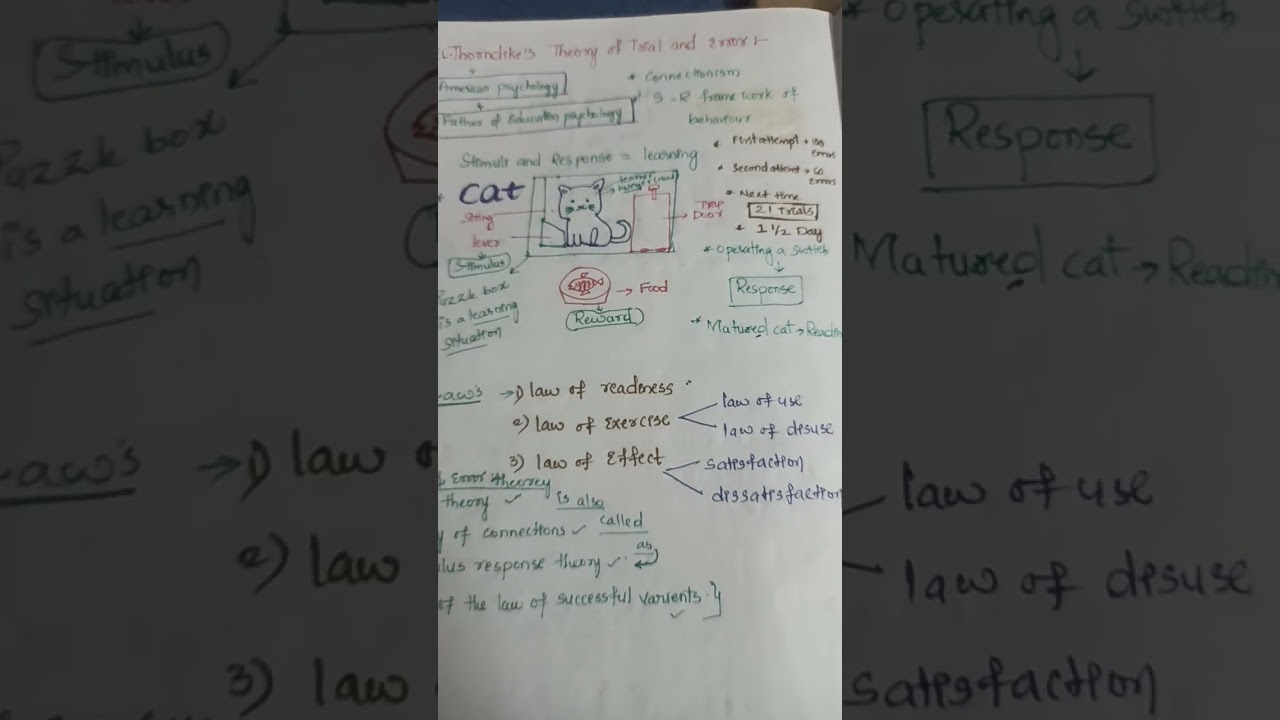 Thorndike's Theory